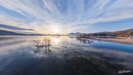 Trees of Hibara Lake