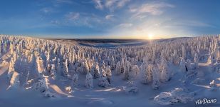 Winter forest, Kuntivaara hill