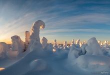 Forms of a winter forest. Kuntivaara