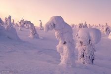 Blizzard in Riisitunturi