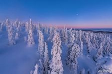 Riistinturi National Park after sunset