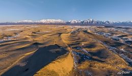 One of the largest dunes in the middle of the desert