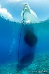 Under the ship. Tubbataha Reef, Philippines