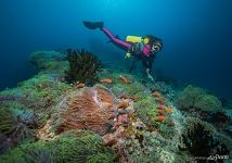 Underwater Maldives