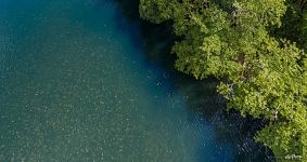 Bird's eye view of Jellyfish Lake