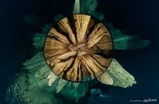 Chandelier Cave, Palau