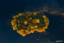 Island in Lake Onega