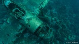 Jake Seaplane wreck