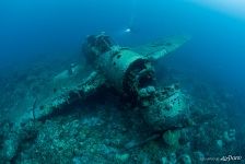 Jake Seaplane wreck