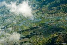 Rice Terraces