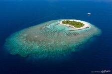 Maldives from above