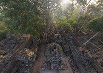 Ta Prohm temple #1