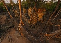 Ta Prohm temple #3