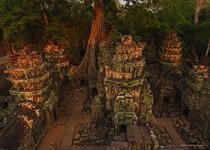 Ta Prohm temple #6