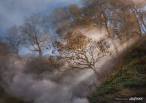 Valley of Geysers, Kamchatka #11