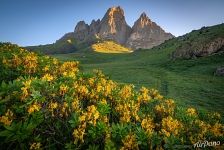 The nature of the Caucasus