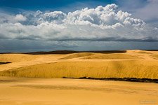 Lençóis Maranhenses National Park #11